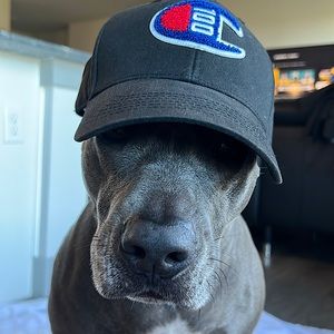 Champion hat - one size fits all w/ leather adjustable strap